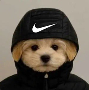 DAWG Logo